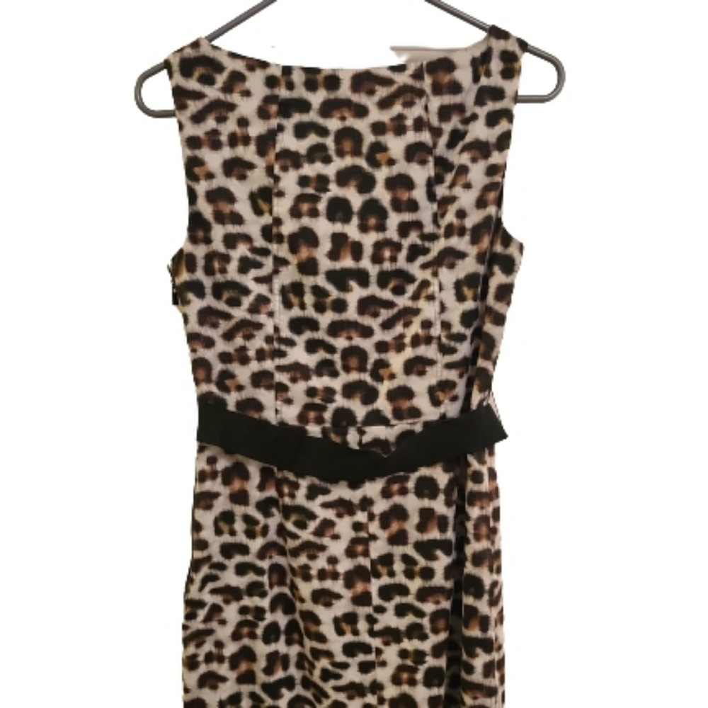 Ann Taylor Shealth Dress